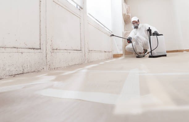 24/7 Emergency Mold Cleanup experts in Columbia, MD