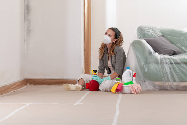 Reliable Mold Cleanup contractor in Columbia, MD by Cheap Mold Removal